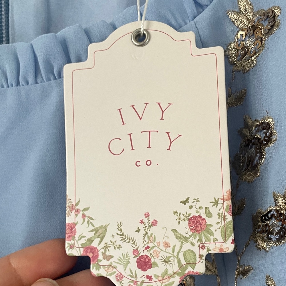 Ivy City Co Blue Embroidered Dress - Picture 2 of 8